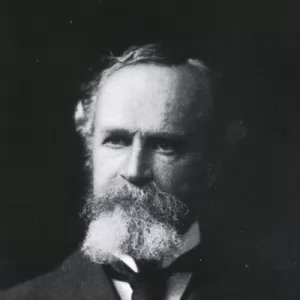 Dario Volarić